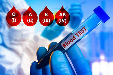 Группа крови